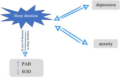 Prognostic Factors Associated With Sleep Duration: Serum Pro-Oxidant/Antioxidant Balance and Superoxide Dismutase 1 as Oxidative Stress Markers and Anxiety/Depression